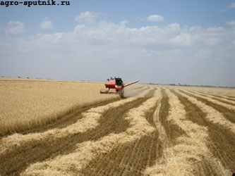 уборка урожая в поле