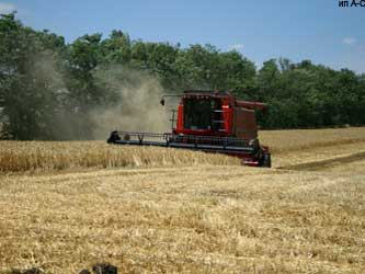 уборка урожая зерновых
